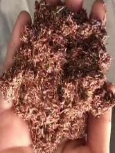 ca88手机客户端(官方网站)CA88会员登录入口